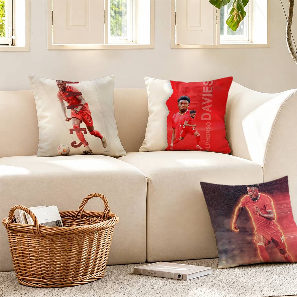 ปลอกหมอนอิง A-Alphonso D-Davie - Home Textiles Canada บทวิจารณ์และราคา