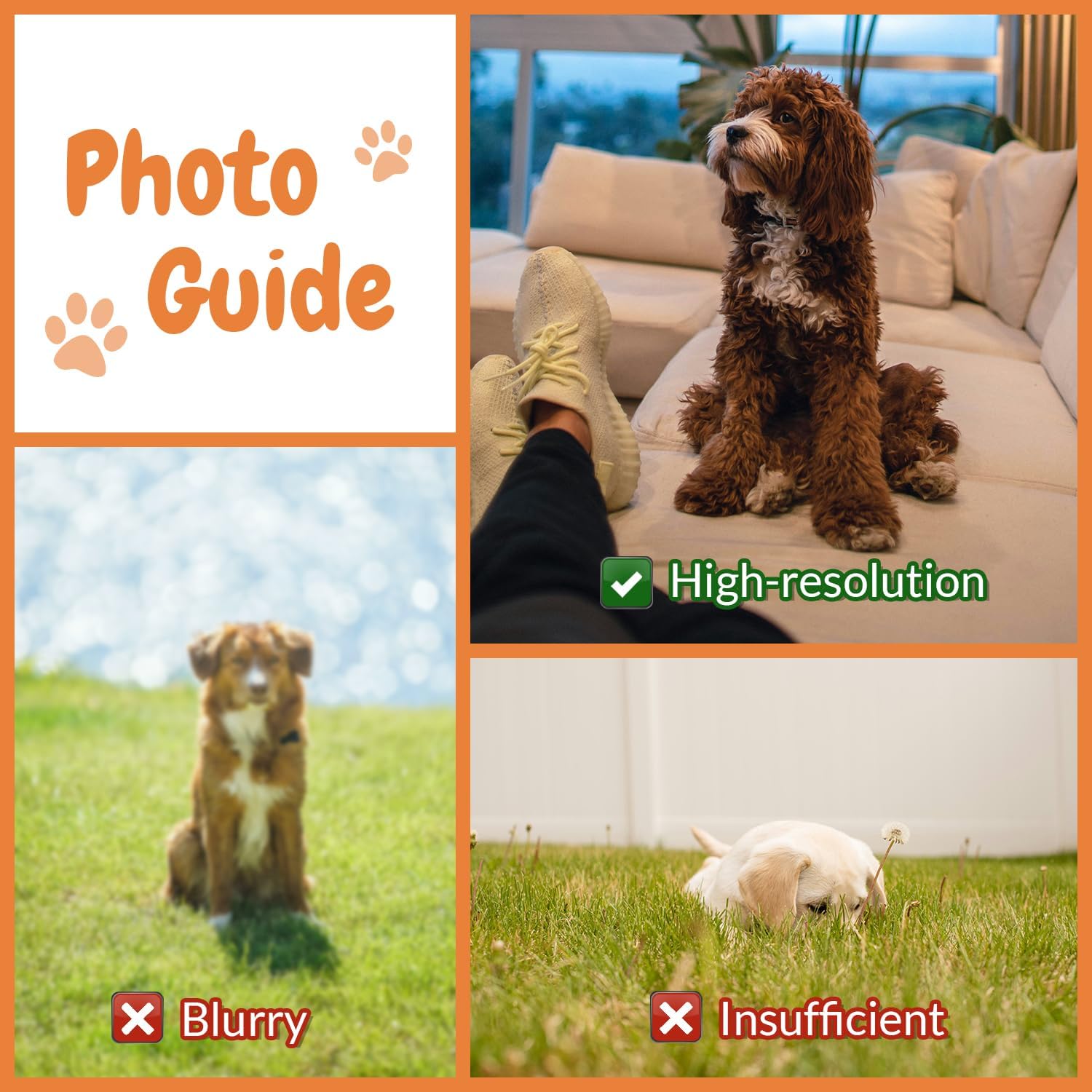 หมอนรองนอนสัตว์เลี้ยงแบบกำหนดเ - Home Textiles Images บทวิจารณ์และราคา
