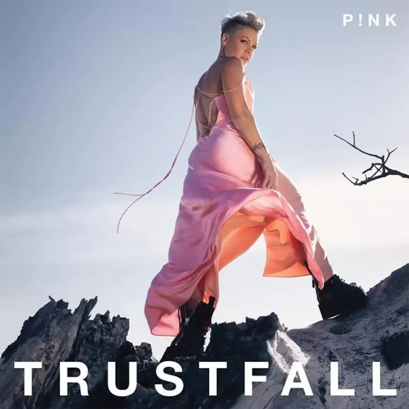 Pretty in Pink P!nk Pink TRUST - P & C Home Textiles Usa บทวิจารณ์และราคา